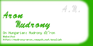 aron mudrony business card